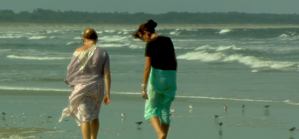 GoGo: Nature Transformed